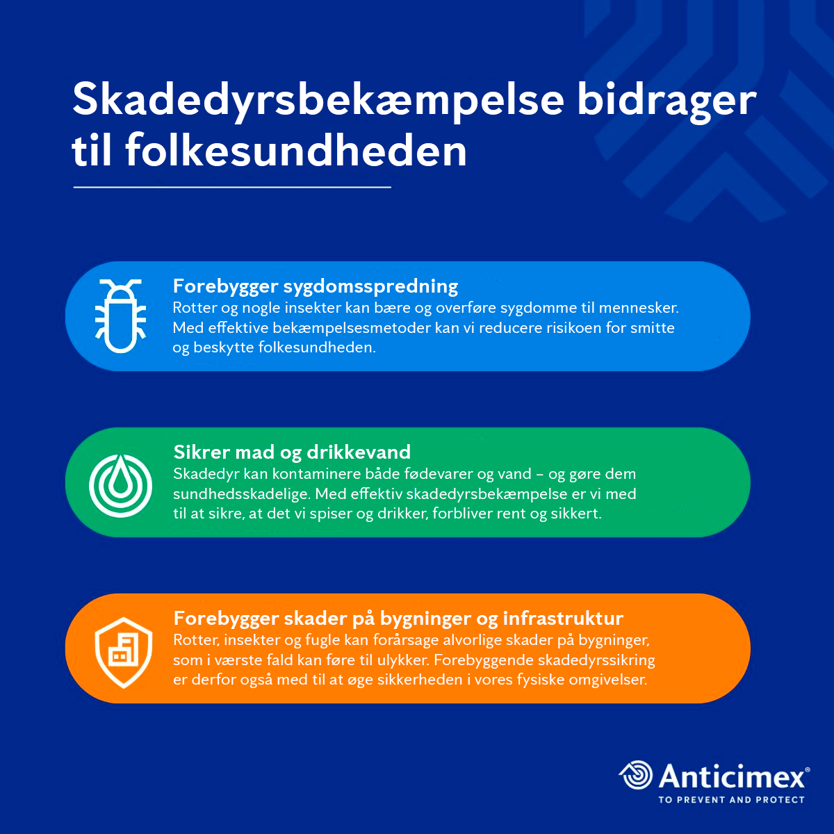 Verdens Sundhedsdag 2025