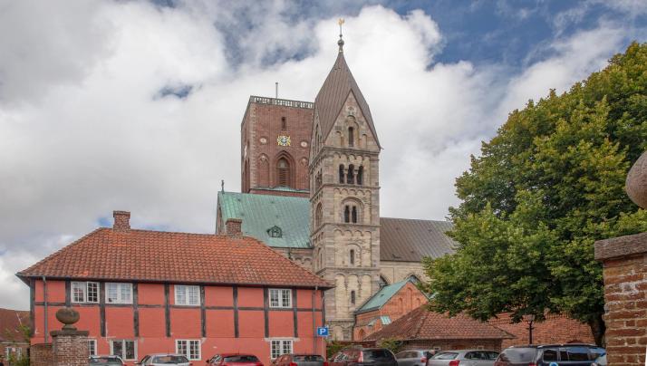 Borebillebekæmpelse