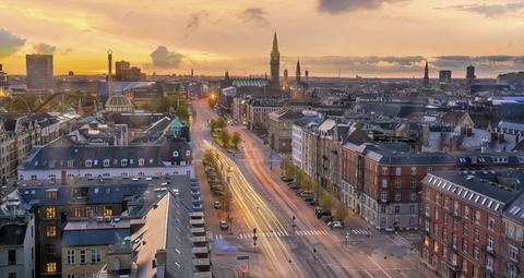 Bekæmpelse af borebiller i København