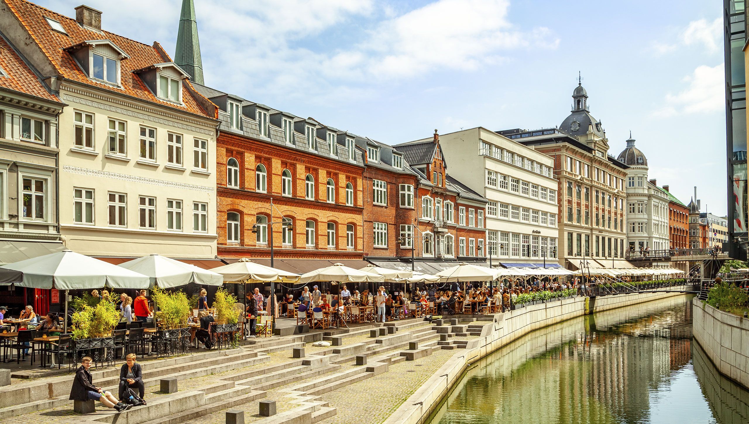 Bekæmpelse af borebiller i Aarhus