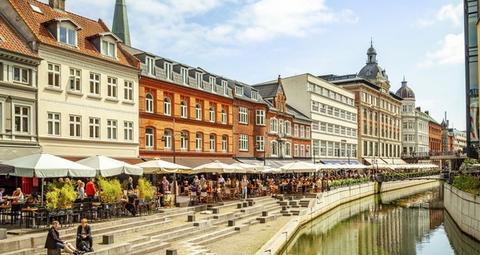 Bekæmpelse af borebiller i Aarhus