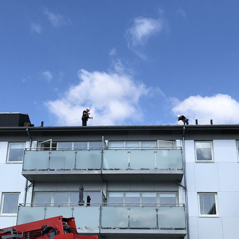 Anticimex-teknikere opsætter fuglesikring hos Boli.nu