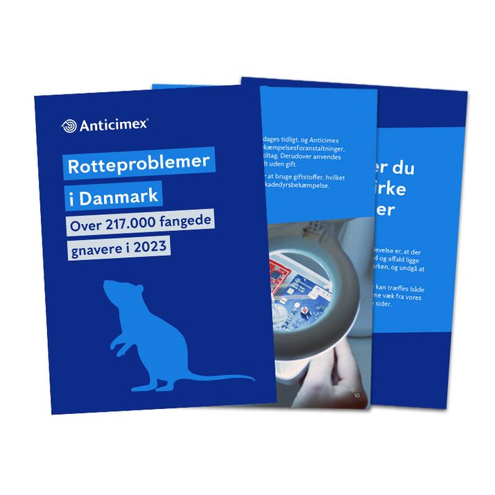 Download rotterapporten