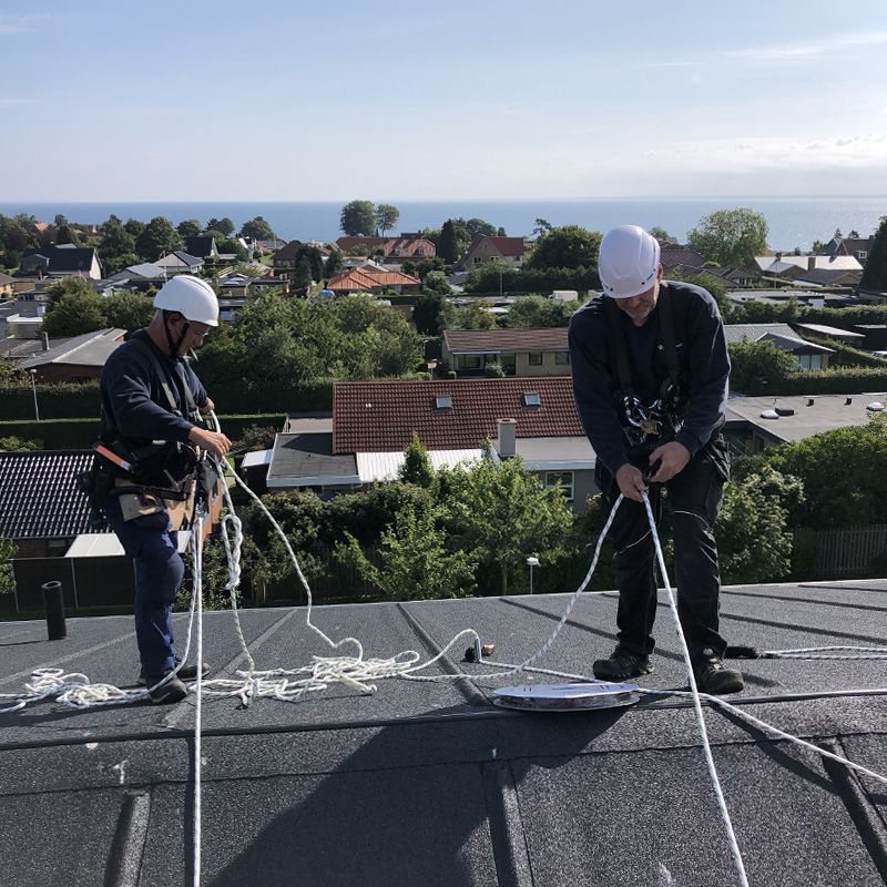Anticimex løser mågeproblem med opsætning af fuglesikring hos Boli.nu