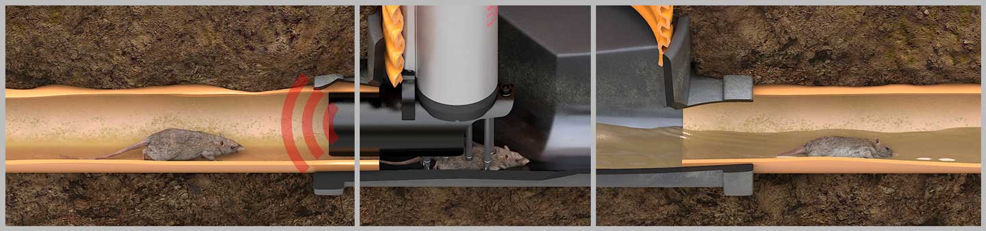 Smart Pipe -effektiv rottebekæmpelse i kloakkerne - fra Anticimex