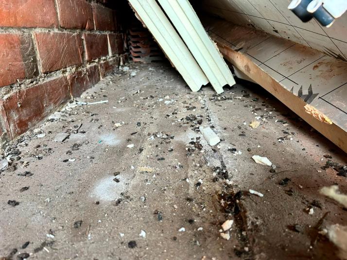 muselort i redskabsskuret