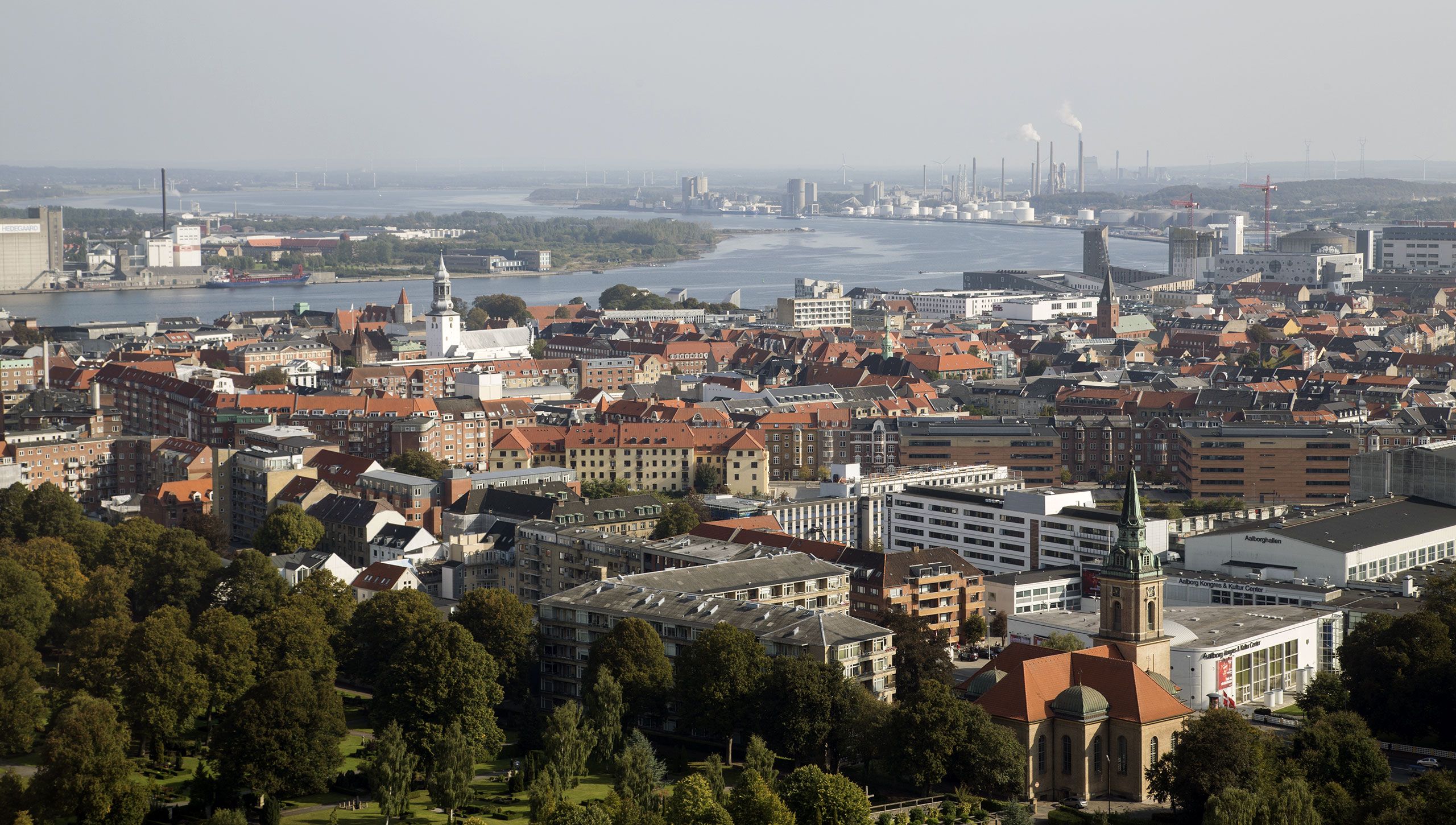 Bekæmpelse af borebiller i Aalborg