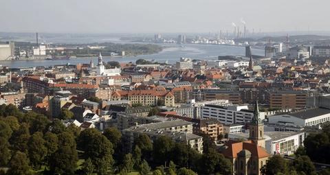 Bekæmpelse af borebiller i Aalborg