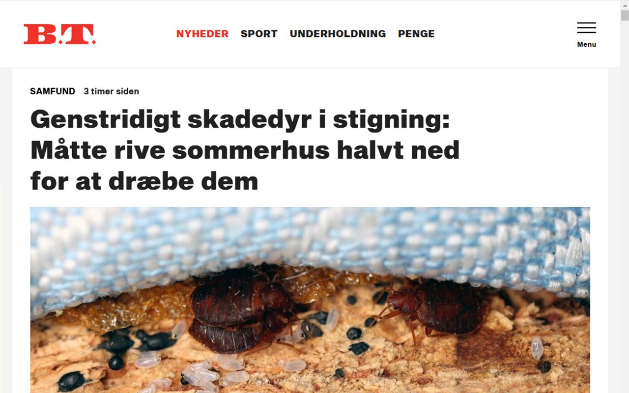 Artikel om stigende væggelusproblemer i Danmark