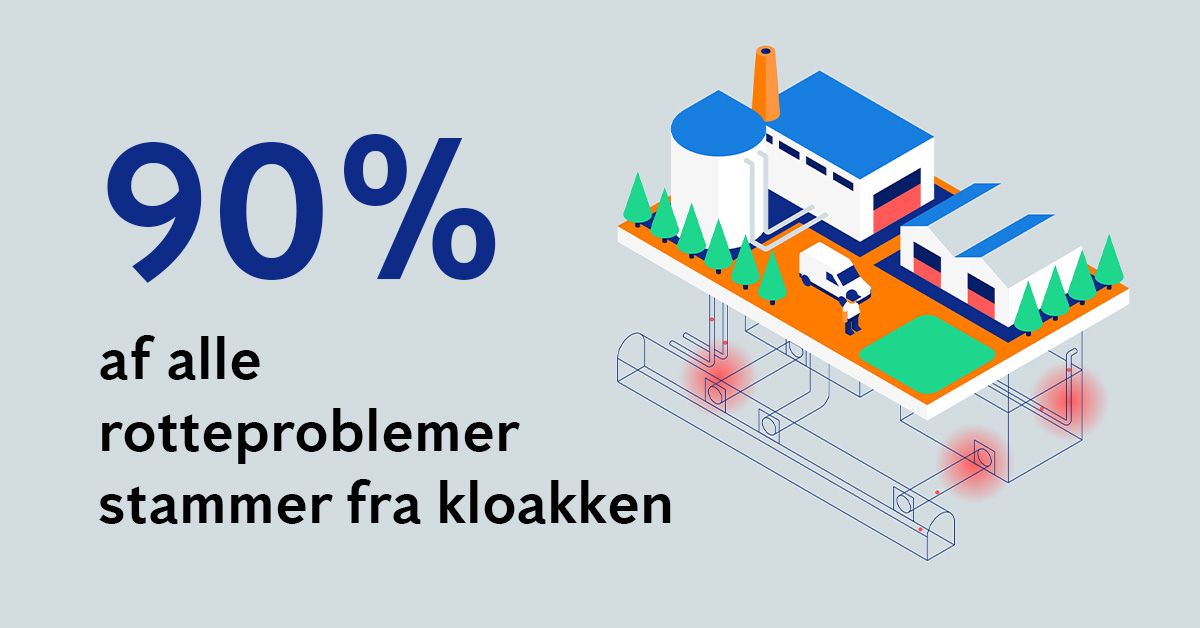 90 % af alle rotteproblemer stammer fra kloakken
