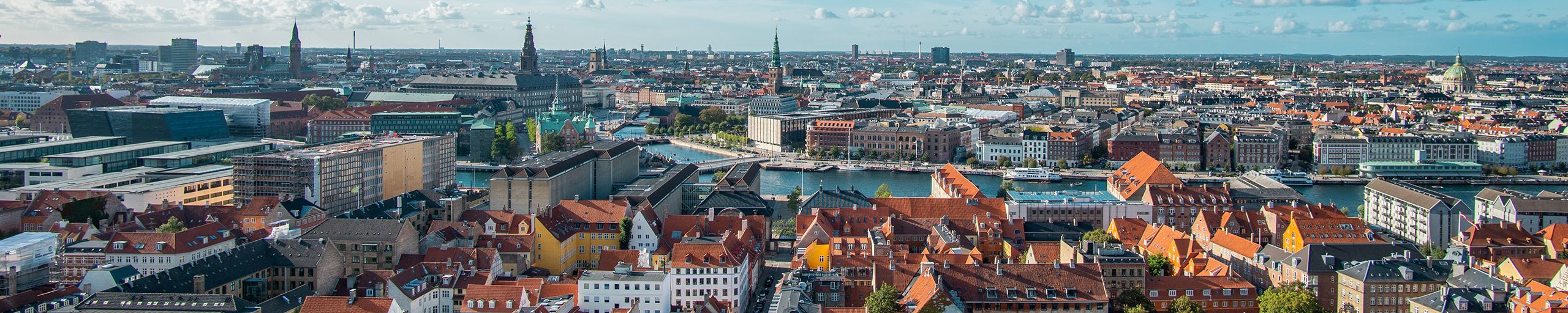 Rottebekæmpelse i København