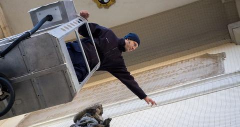 Anticimex-tekniker i gang med fuglesikring i Esbjerg