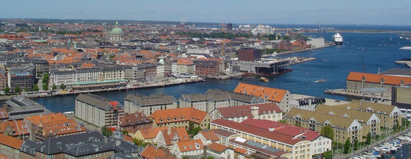 Skadedyrsbekæmpelse i København - det klarer Anticimex