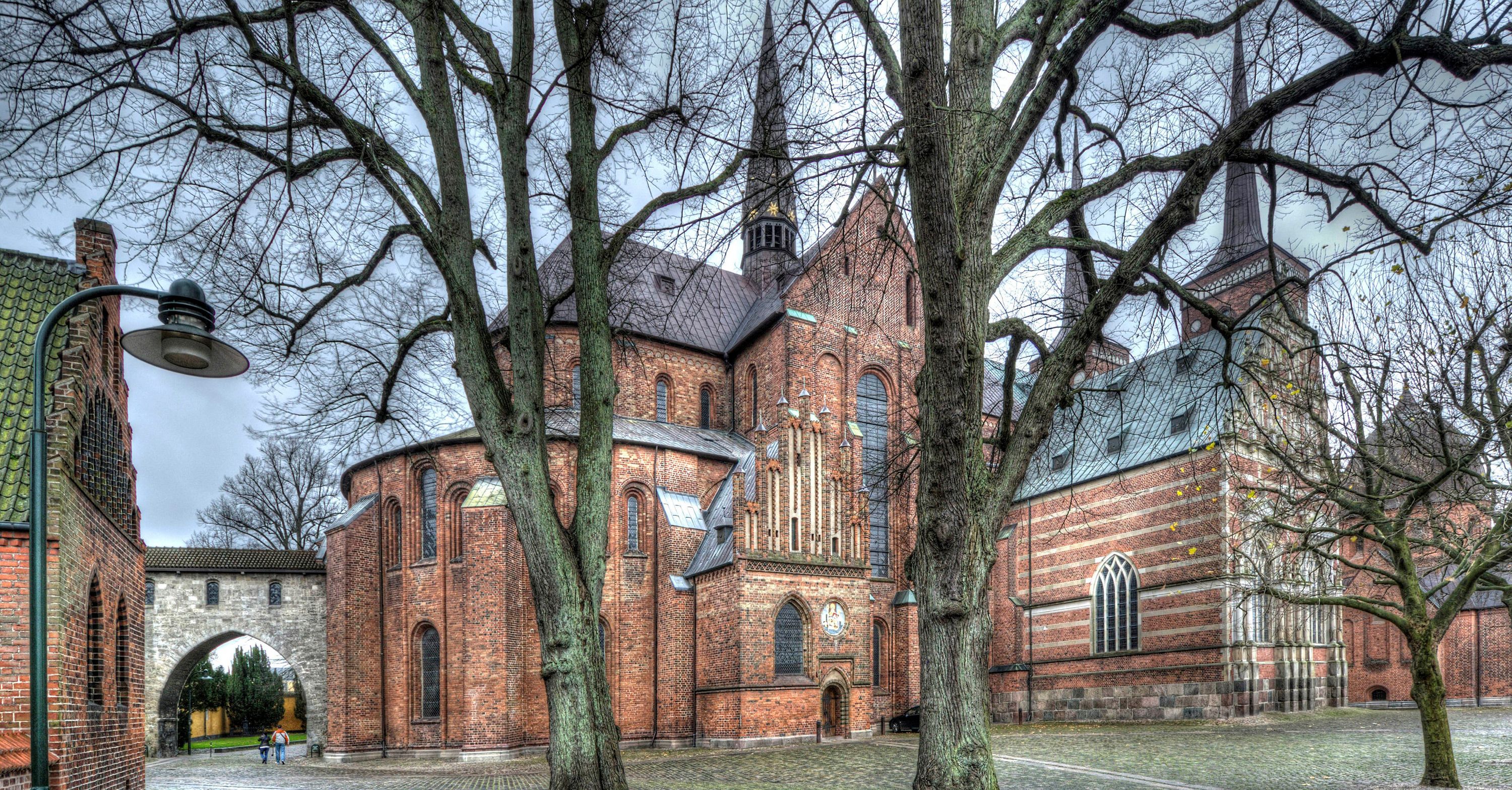 Skadedyrsbekæmpelse i Roskilde