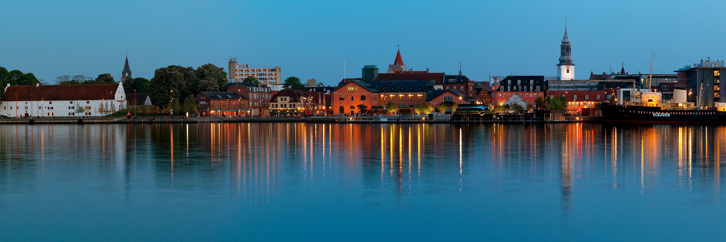 Skadedyrsbekæmpelse i Aalborg