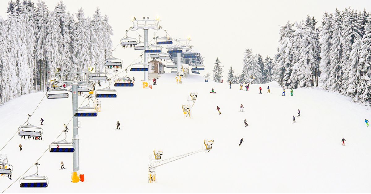 Undgå væggelus på vinterferien