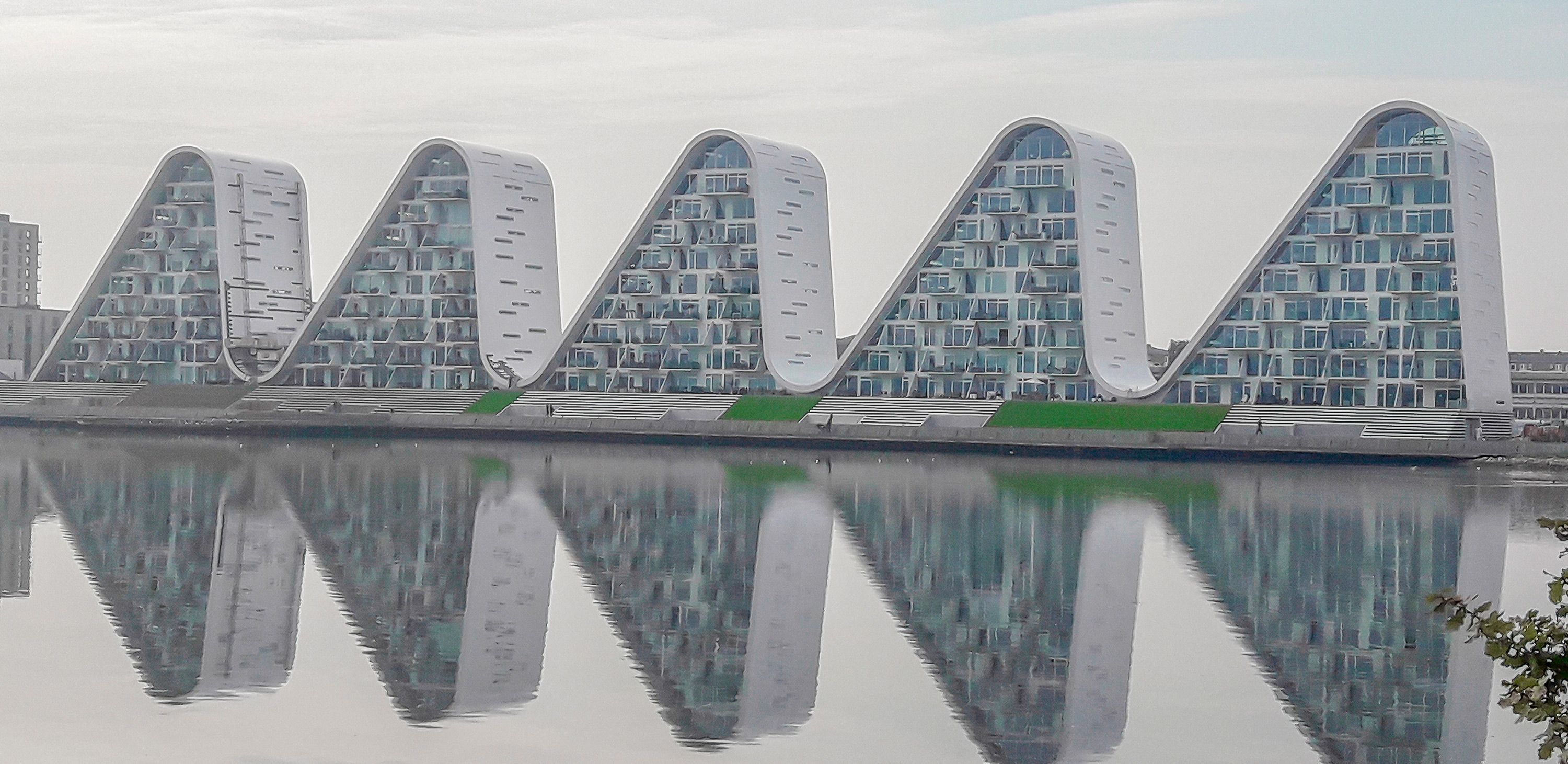 Skadedyrsbekæmpelse i Vejle