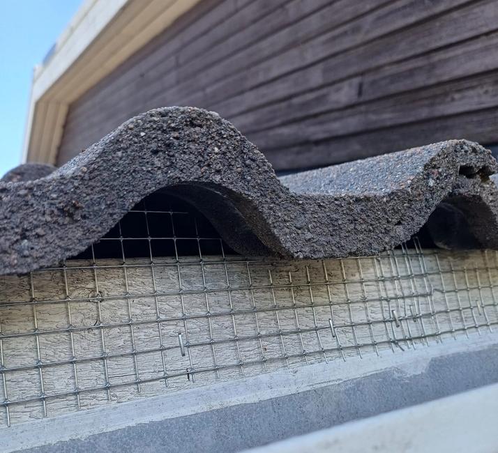 Linnut voivat hakea pesäpaikkaa rakennusten pienistä koloista.