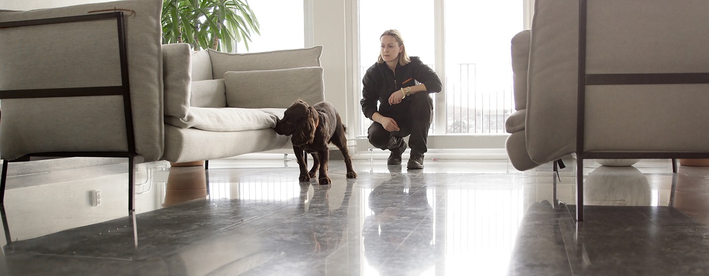 Hae Anticimexin järjestämään Lutikkakoiraohjaajaksi-valmennukseen!