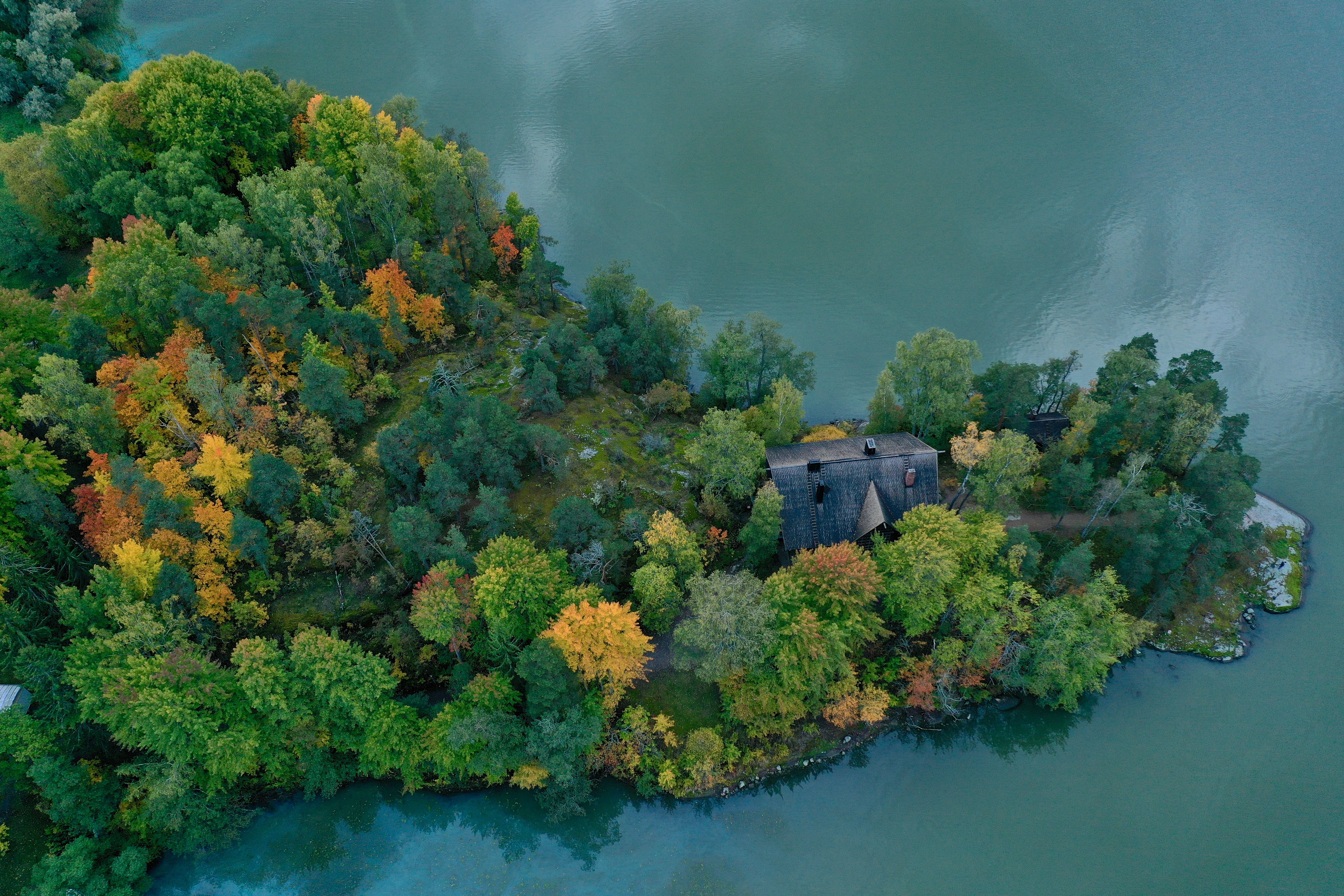 Anticimex Tuholaistorjunta Tuusula