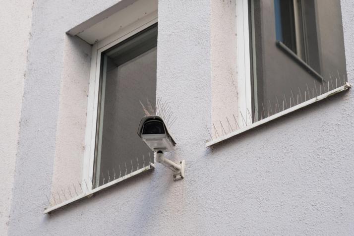 Lintupiikit estävät lintuja asettumasta rakennusten syvennyksiin ja tasanteille.