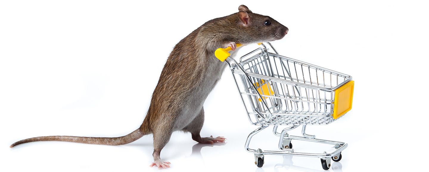 Suomalaisille puhdas kauppa on itsestäänselvyys