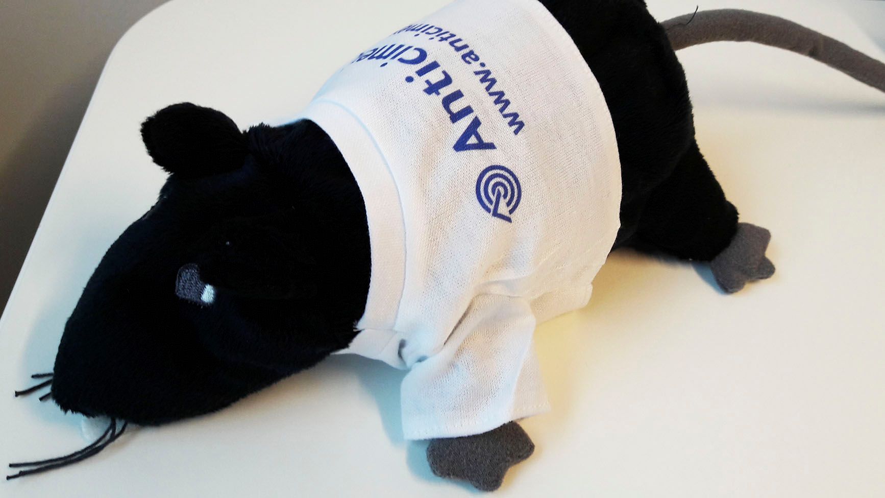 Anticimexin maskottirotta