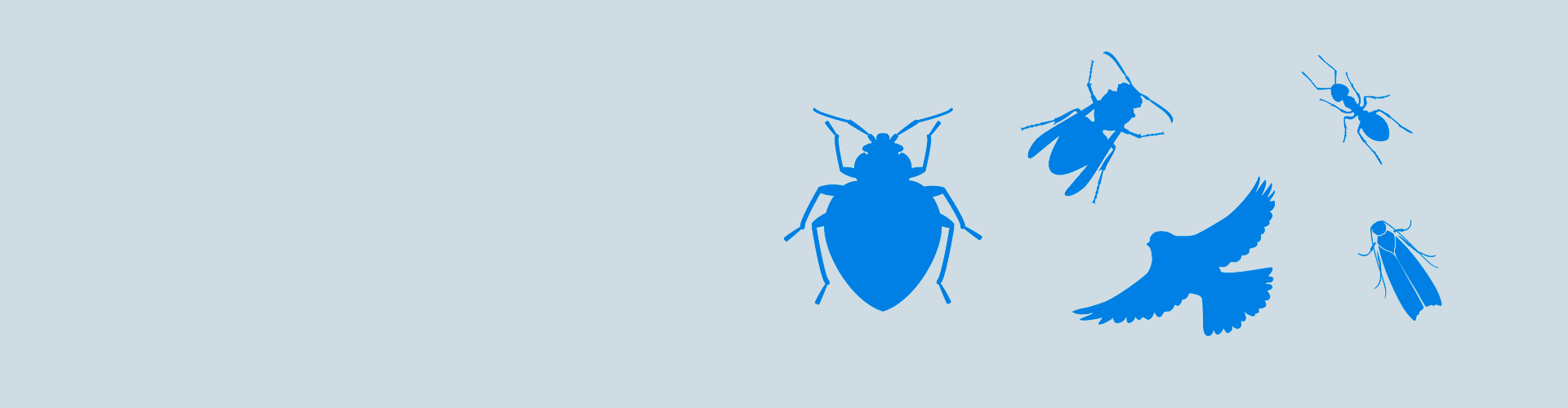 Anticimexin koulutukset