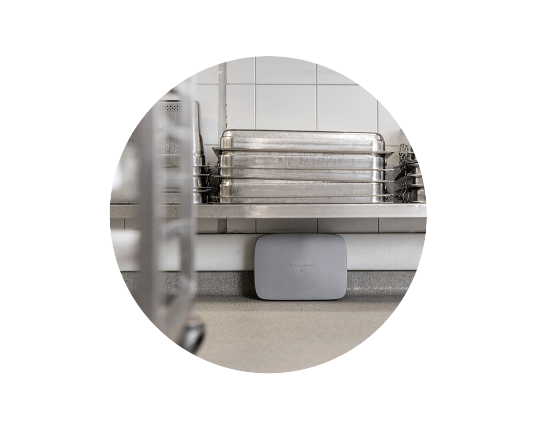 Anticimex Smart Catch -jyrsijäloukku