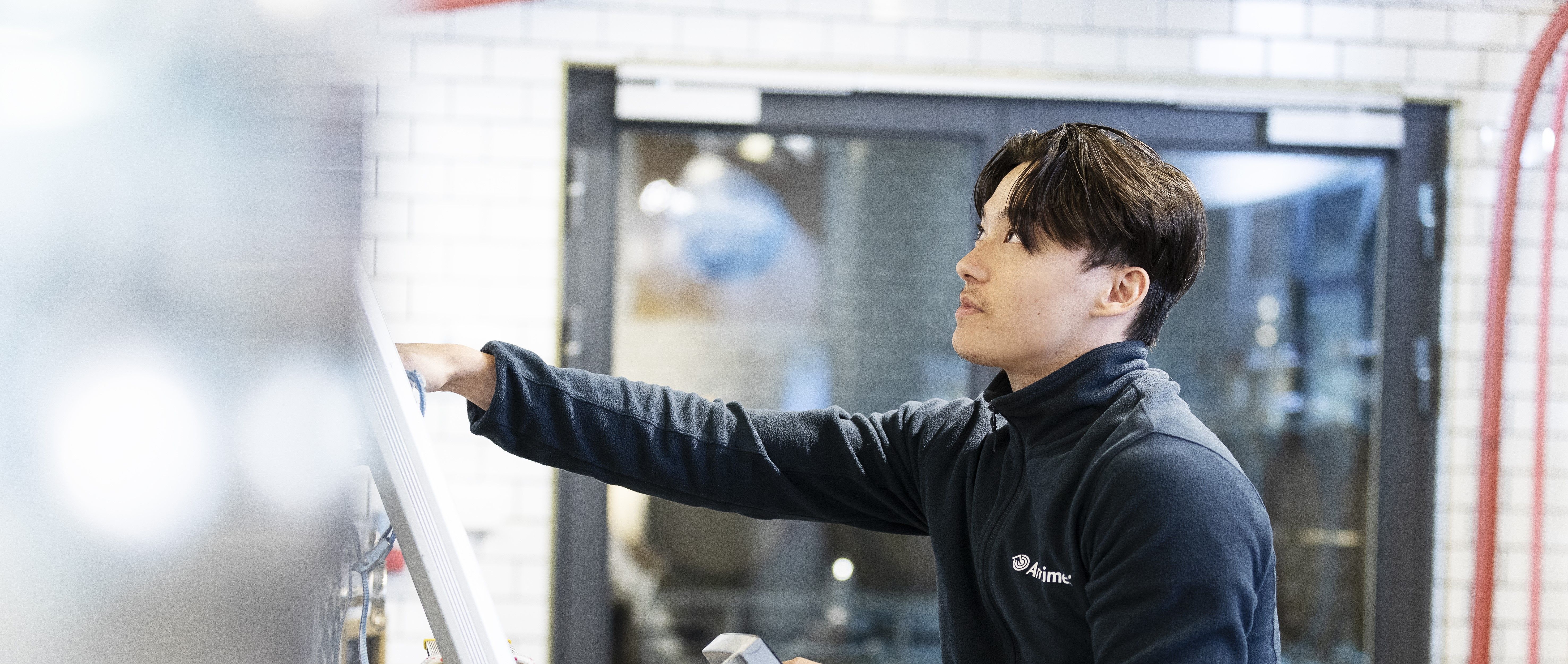 Anticimexin avoimet työpaikat