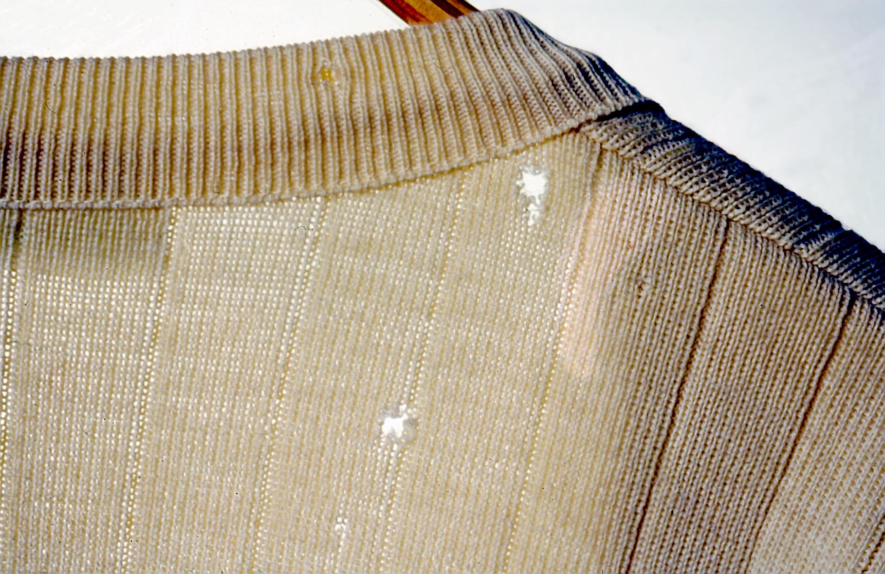 Turkiskuoriaisen tekemiä reikiä tekstiilissä