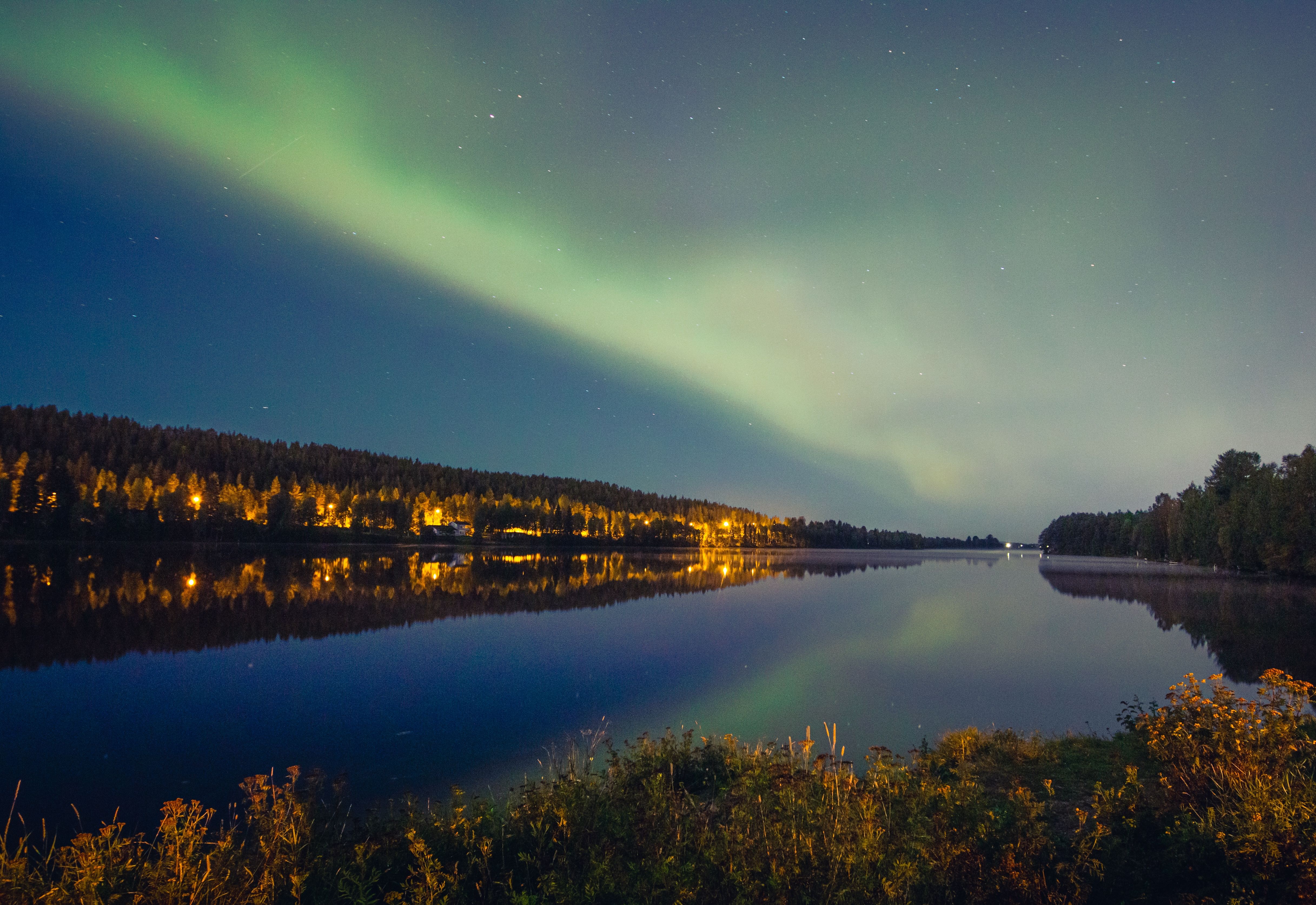 Anticimex Tuholaistorjunta Rovaniemi