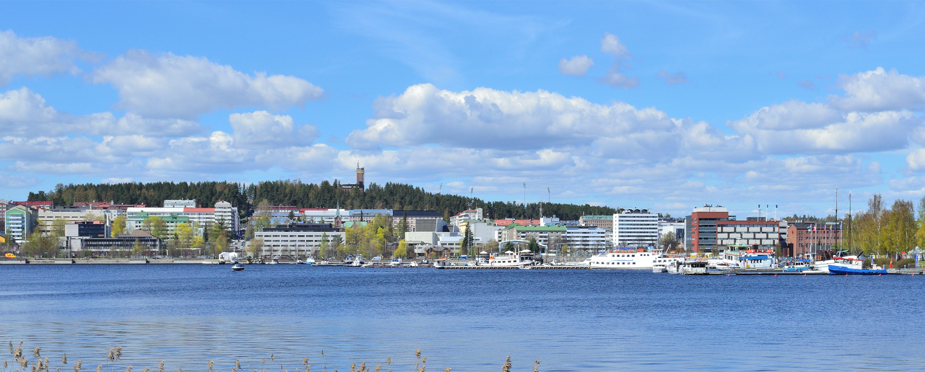 Anticimex Jyväskylässä