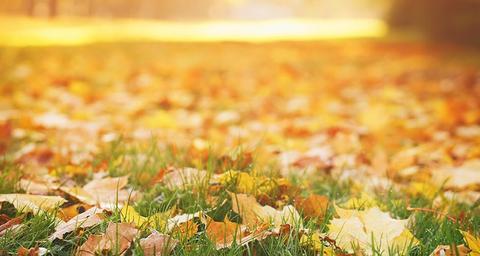 Tunnelmallinen syksy – ja siimahäntien ryntäys