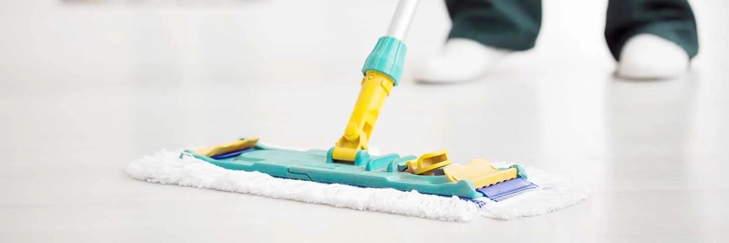 Siivoaminen poistaa muurahaisten hajujäljet