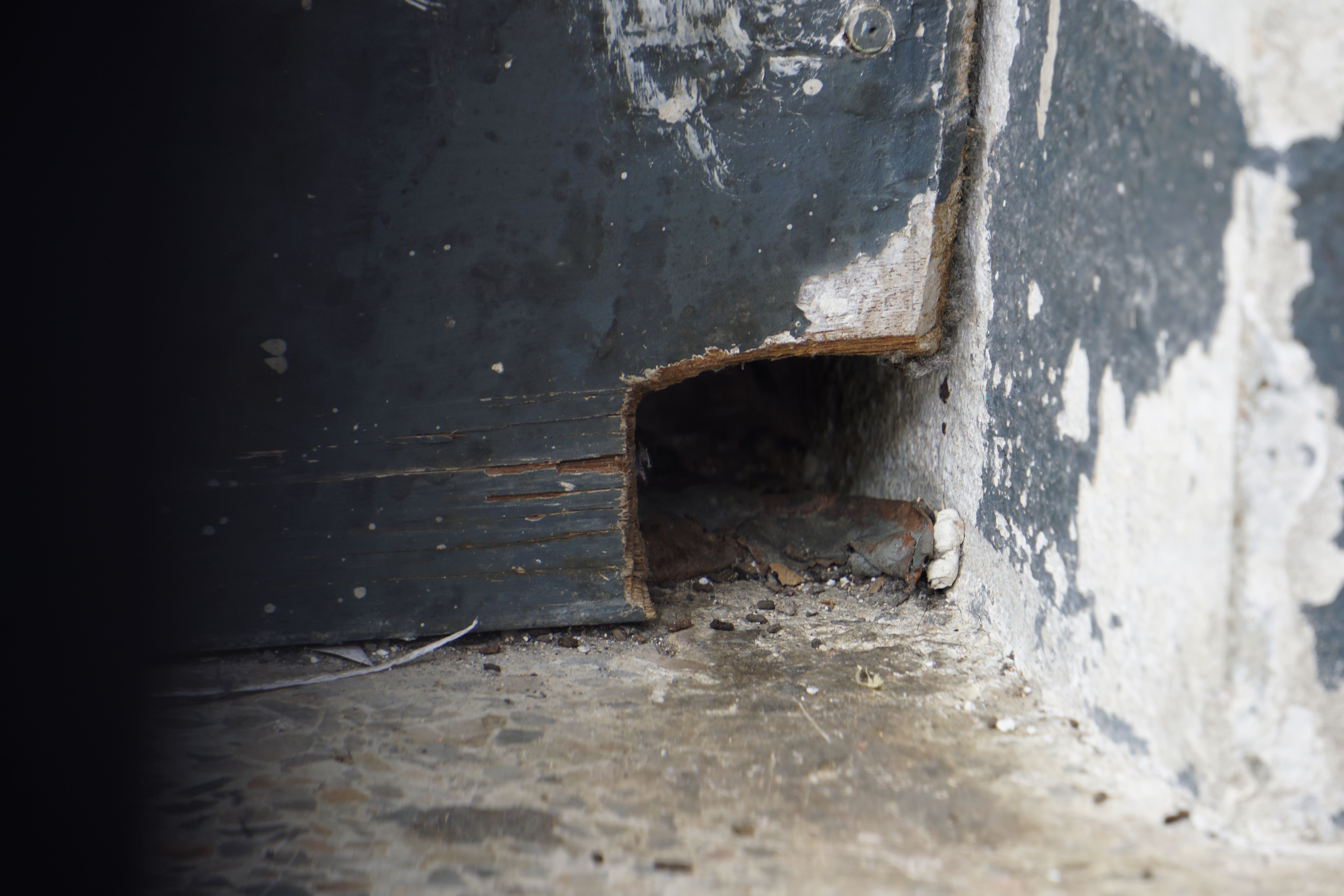 Hiirten kulkureittejä voi suojata esimerkiksi tiheäsilmäisellä verkolla.