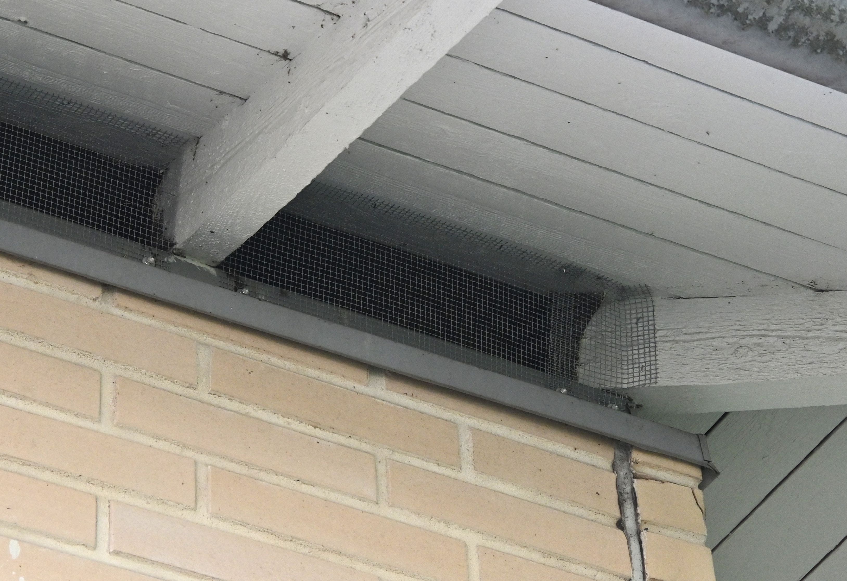 Tiheäsilmäinen metalliverkko suojaa sekä jyrsijöiltä että linnuilta.