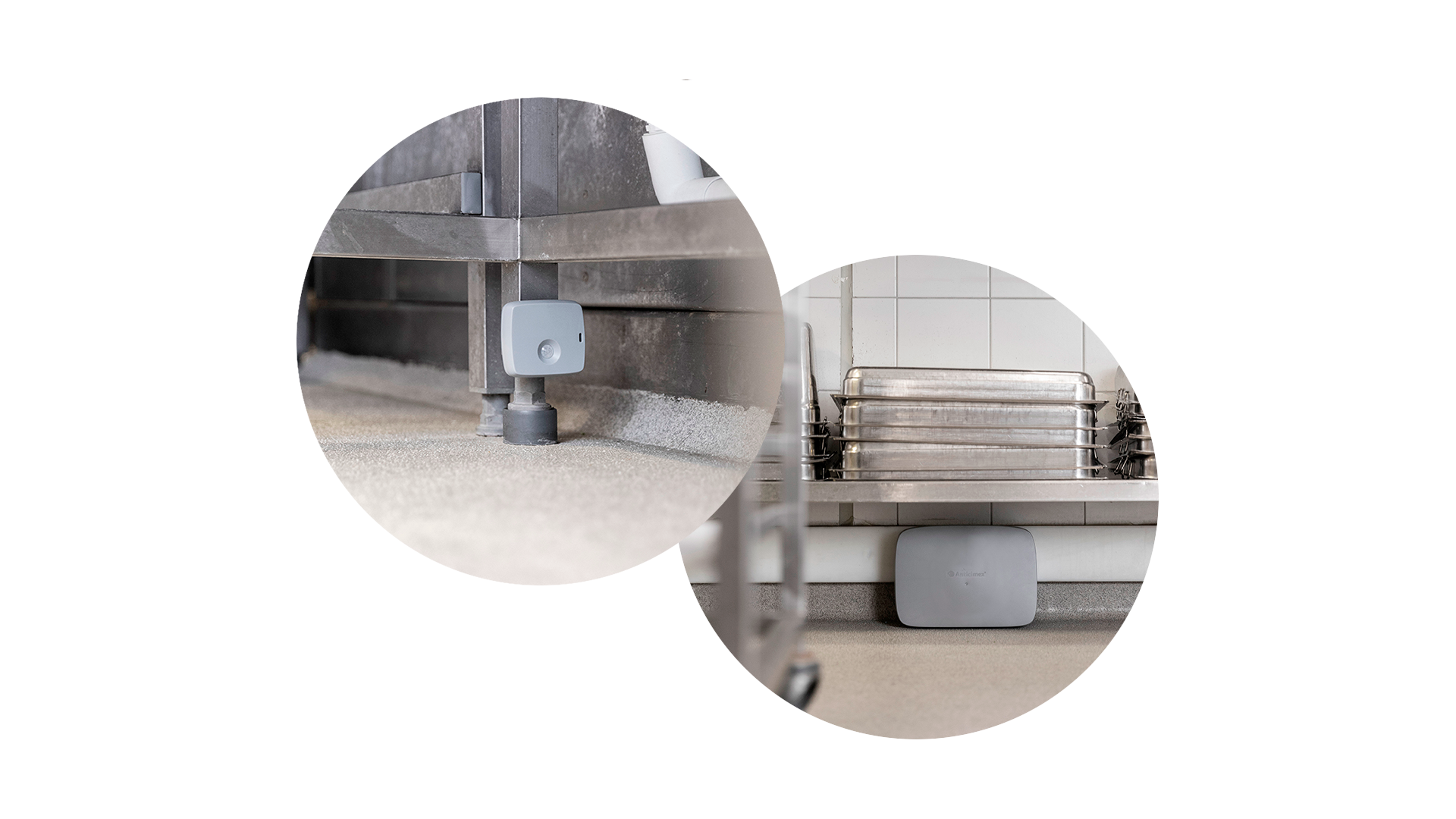 Anticimex Smart Mini havaitsee jyrsijöiden aktiivisuuden.