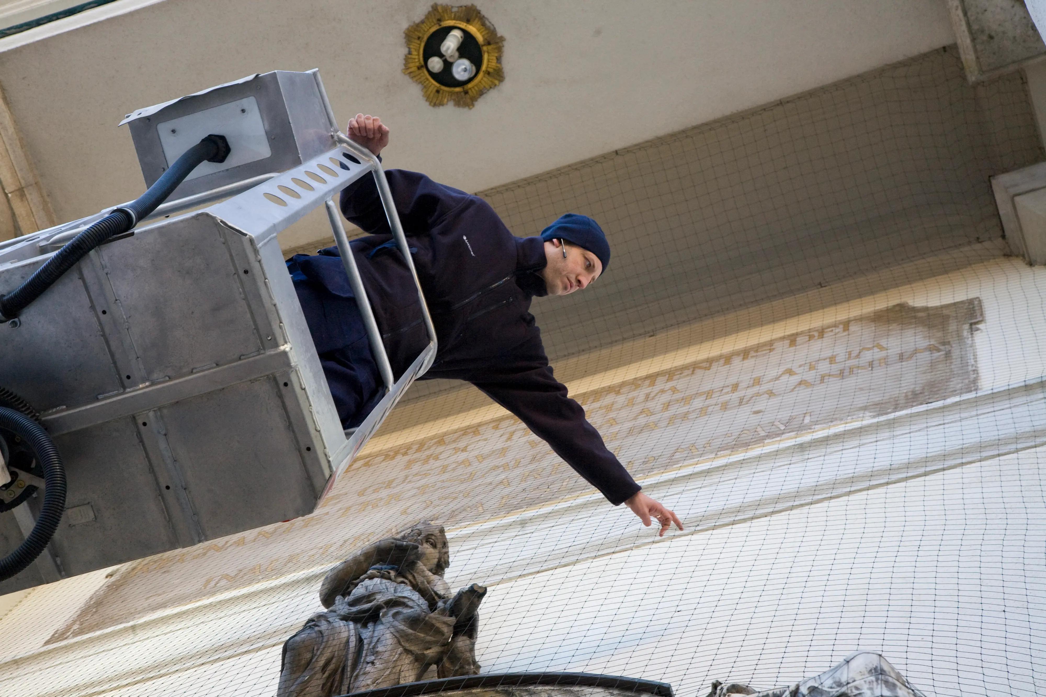 Gestion des oiseaux sur un batiment administratif