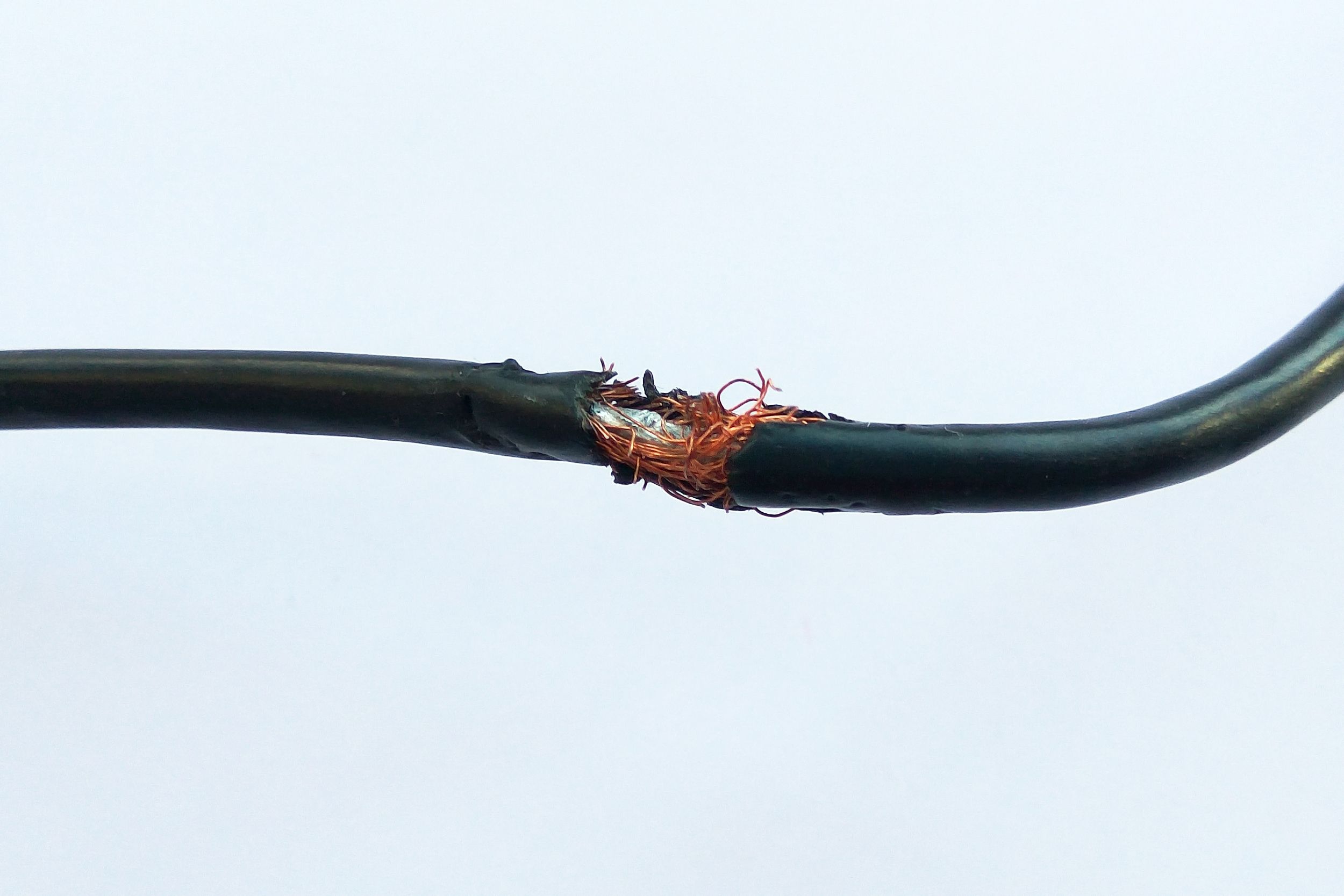 Cable de voiture rongé par les rats : attention danger 