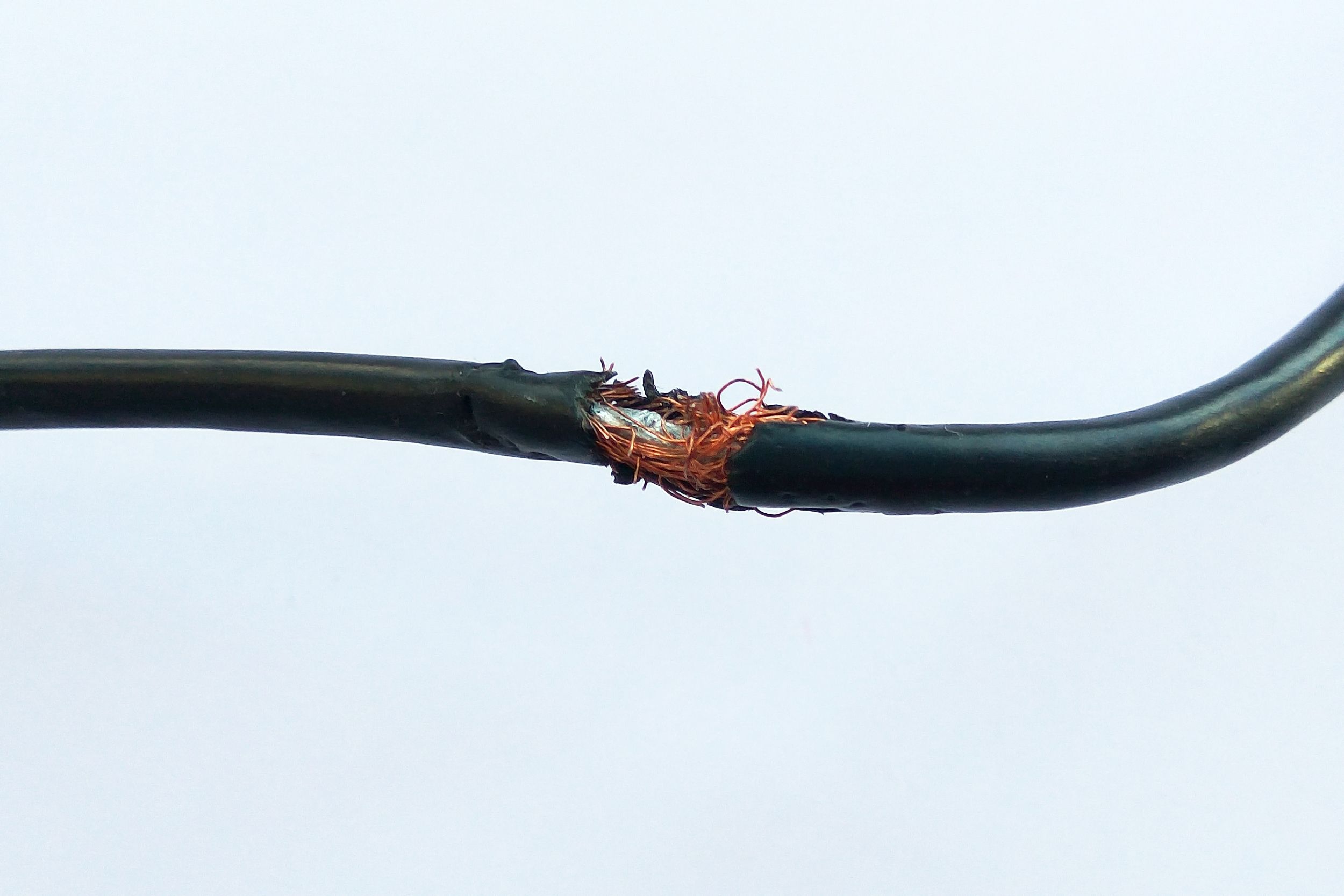 Cable de voiture rongé par les rats : attention danger