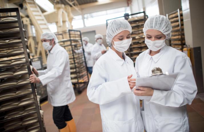 IPM : une approche durable et efficace