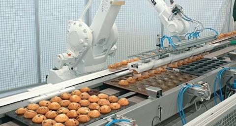 Maitrise des nuisibles dans l'industrie agroalimentaire