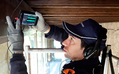 Diagnostique termites 