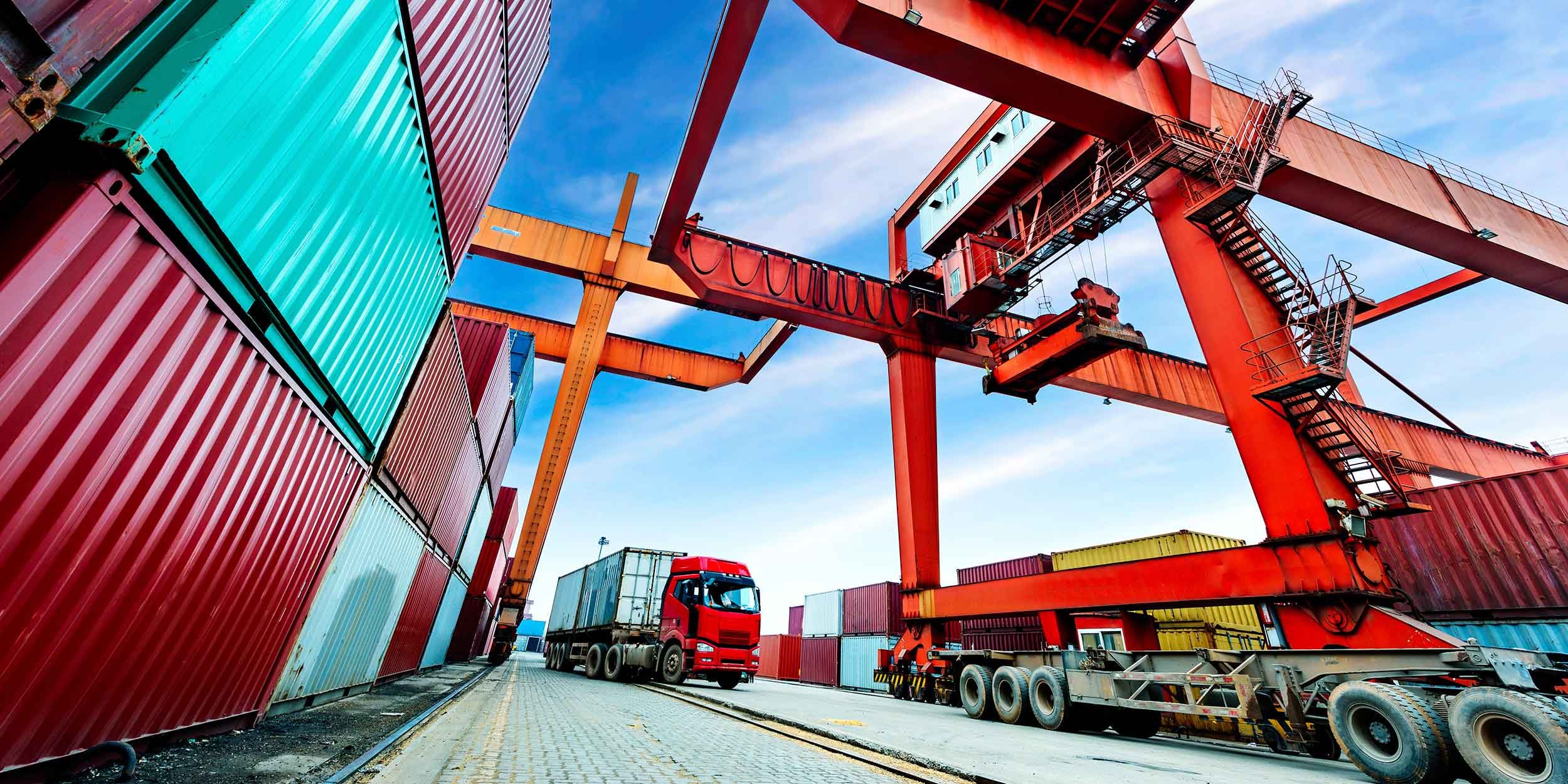 services 3d lutte anti-nuisibles transport logistique