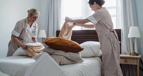 Formation du personnel d'hôtel pour détecter la présences des nuisibles