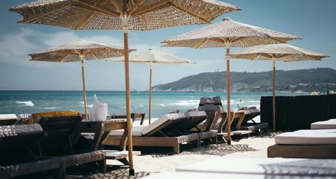 Gestion des Nuisibles dans les Resorts de Luxe