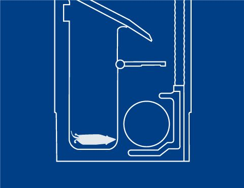 Dry Insectide Transfer Container Smartbox Dératisation sans poison avec Smart Box - Anticimex