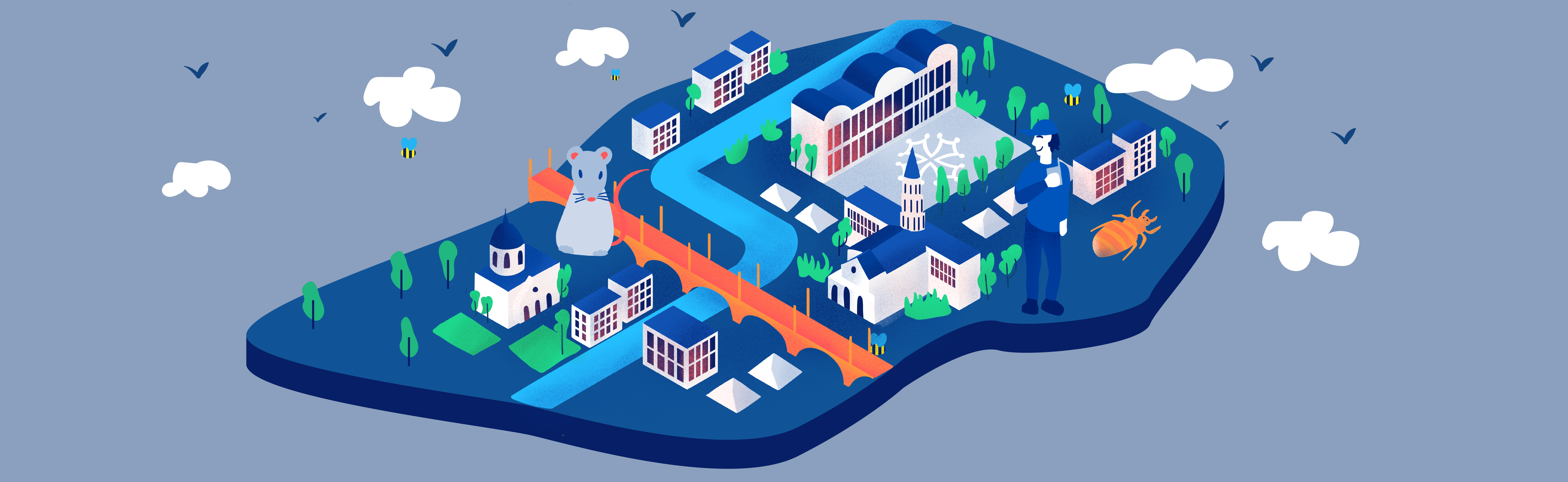 Services d'élimination des nuisibles à Albi 81