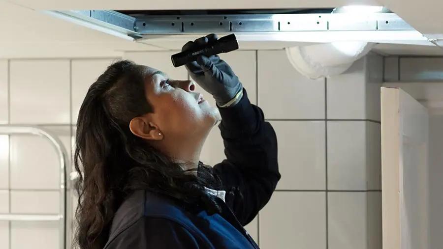 inspection préalable dans la lutte contre les parasites et analyse des risques